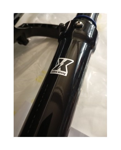 Forcella MTB SUNTOUR Fork 29" AION 36X ABS 140mm Boost 15x110