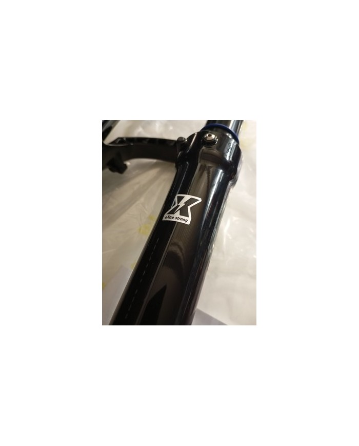 Forcella MTB SUNTOUR Fork 29" AION 36X ABS 140mm Boost 15x110
