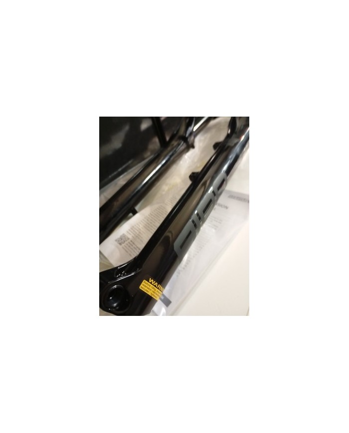 Forcella MTB SUNTOUR Fork 29" AION 36X ABS 140mm Boost 15x110