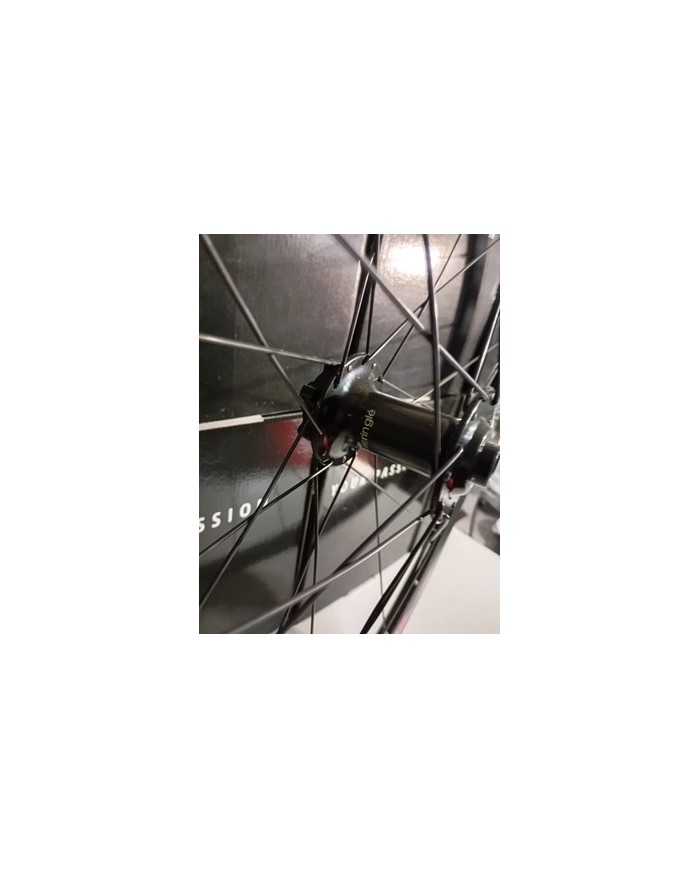 Ruota anteriore MTB 29 boost 15x110 canale interno 22mm già tubeless adatta a...
