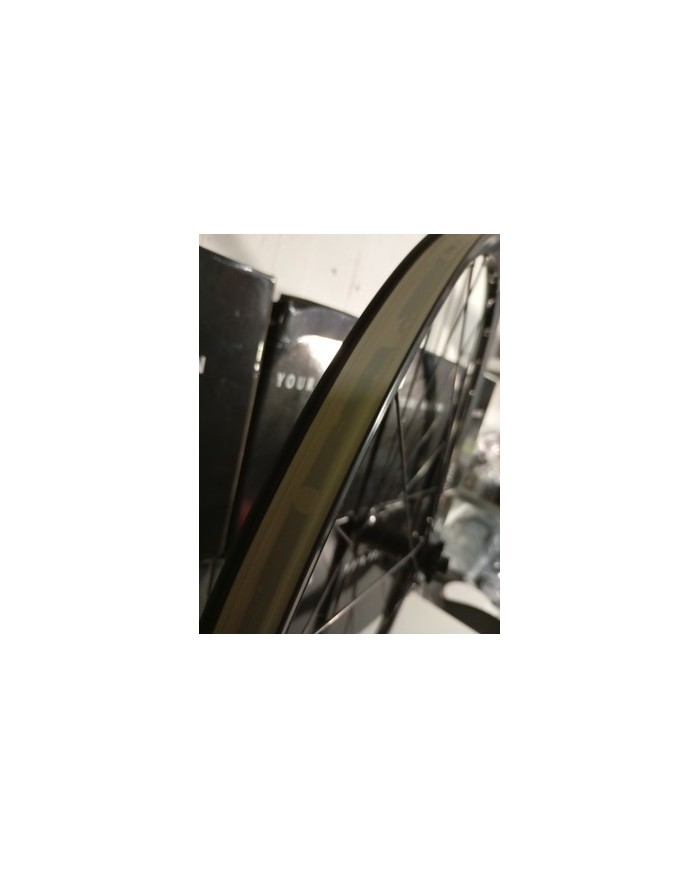 Ruota anteriore MTB 29 boost 15x110 canale interno 22mm già tubeless adatta a...