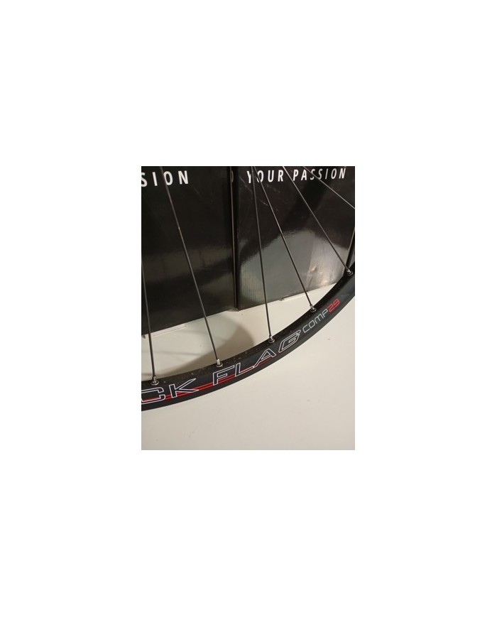 Ruota anteriore MTB 29 boost 15x110 canale interno 22mm già tubeless adatta a...